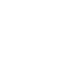 wise 223